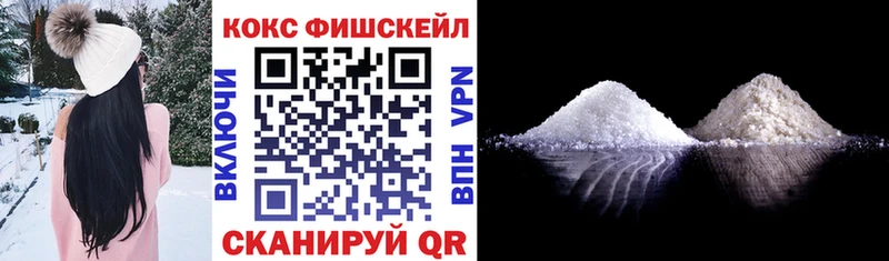 mega как войти  Гусиноозёрск  COCAIN Fish Scale 